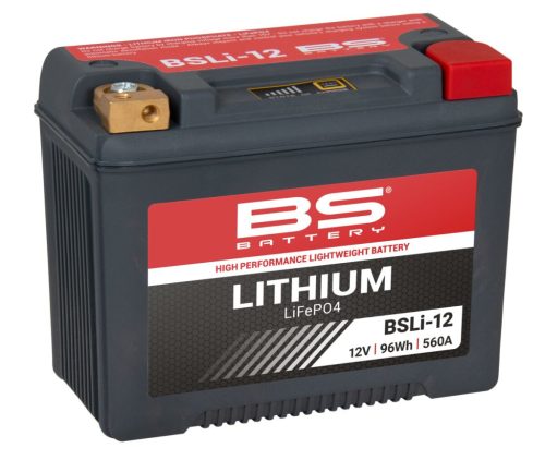 Baterie-Litiu-BS-Battery-BSLI12