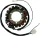Stator RICK'S MOTORSPORT ELECTRIC 21-401