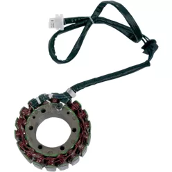Stator RICK'S MOTORSPORT ELECTRIC 21-405
