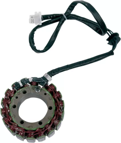 Stator RICK'S MOTORSPORT ELECTRIC 21-405