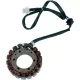 Stator RICK'S MOTORSPORT ELECTRIC 21-405