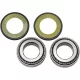 Kit-rulmenti-de-jug-All-Balls-Racing-22-1003