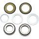Kit-rulmenti-de-jug-All-Balls-Racing-22-1011
