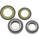 Kit-rulmenti-de-jug-All-Balls-Racing-22-1020