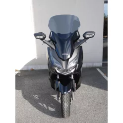 WINDSHIELD-FORZA-125-CLR