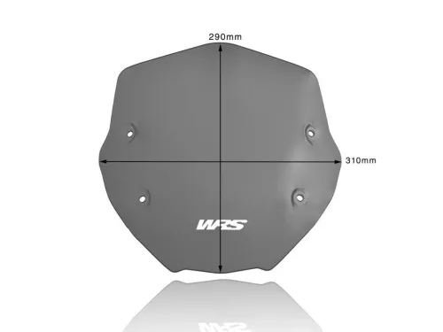 Parbriz WRS Sport BMW R1250R 2019-2024 fumuriu închis BM056FS