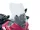 Parbriz WRS Caponord Ducati Multistrada V2 / S 2025-2026 transparent DU035T