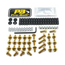 Kit șuruburi parbriz Pro Bolt FBM730G