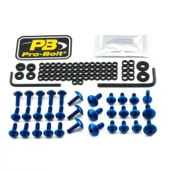Kit șuruburi parbriz Pro Bolt FDU310B