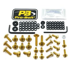 Kit șuruburi parbriz Pro Bolt FKA057G