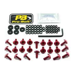 Kit șuruburi parbriz Pro Bolt FKA175R