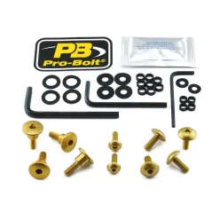 Kit șuruburi parbriz Pro Bolt FKA237G
