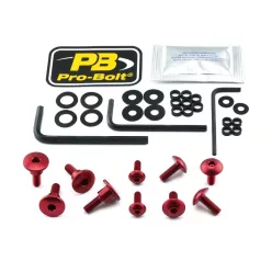 Kit șuruburi parbriz Pro Bolt FKA237R