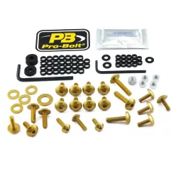 Kit șuruburi parbriz Pro Bolt FKA371G