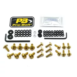 Kit șuruburi parbriz Pro Bolt FKA402G