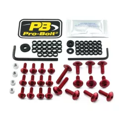 Kit șuruburi parbriz Pro Bolt FKA405R