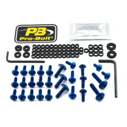 Kit șuruburi parbriz Pro Bolt FKA420B