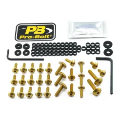 Kit șuruburi parbriz Pro Bolt FKA420G