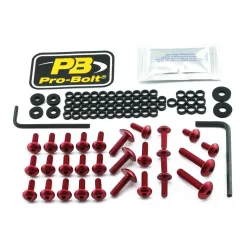 Kit șuruburi parbriz Pro Bolt FKA420R