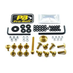 Kit șuruburi parbriz Pro Bolt FSU091G