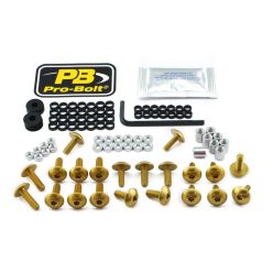 Kit șuruburi parbriz Pro Bolt FSU162G