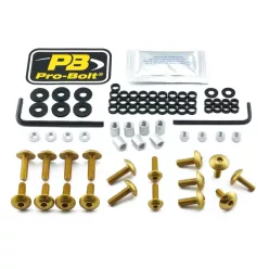 Kit șuruburi parbriz Pro Bolt FSU310G