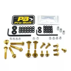 Kit șuruburi parbriz Pro Bolt FSU320G