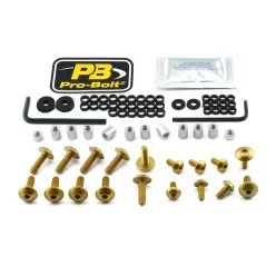 Kit șuruburi parbriz Pro Bolt FSU330G