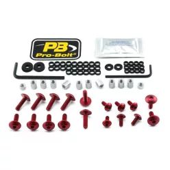 Kit șuruburi parbriz Pro Bolt FSU330R