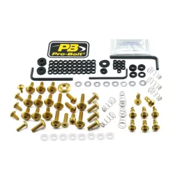 Kit șuruburi parbriz Pro Bolt FYA407QRAKG