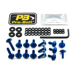 Kit șuruburi parbriz Pro Bolt FYA500B