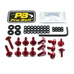 Kit șuruburi parbriz Pro Bolt FYA500R