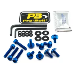 Kit șuruburi parbriz Pro Bolt FYA510B