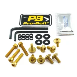 Kit șuruburi parbriz Pro Bolt FYA510G