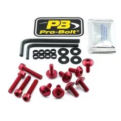 Kit șuruburi parbriz Pro Bolt FYA510R