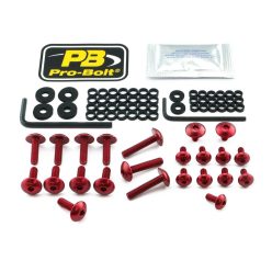 Kit șuruburi parbriz Pro Bolt FYA660R