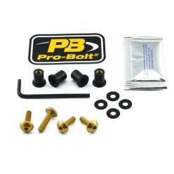 Pro Bolt Bolt Kit Screen Gold