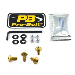 Kit șuruburi parbriz Pro Bolt SK410G