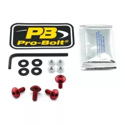 Kit șuruburi parbriz Pro Bolt SK410R