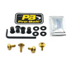 Pro Bolt Bolt Kit Screen Gold