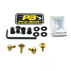 Kit șuruburi parbriz Pro Bolt SK4XLG