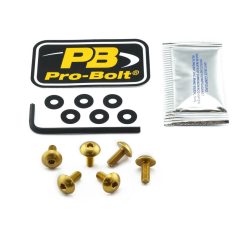 Pro Bolt Bolt Kit Screen Gold