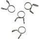 Coliere All Balls FS00053