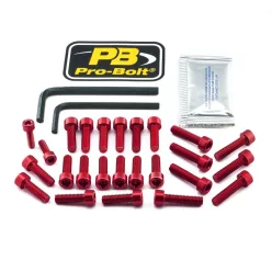Kit șuruburi carenaj Pro Bolt EBM820R