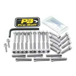 Kit șuruburi carenaj Pro Bolt EHO214S