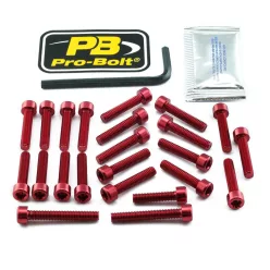 Kit șuruburi carenaj Pro Bolt EHO430R