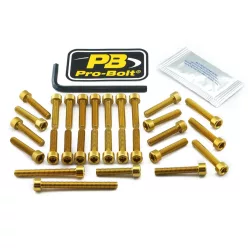 Kit șuruburi carenaj Pro Bolt EKA237G