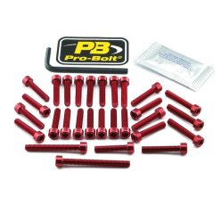 Pro Bolt Bolt Kt Engine Kaw Red