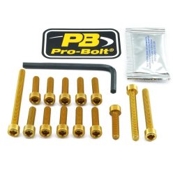 Pro Bolt Bolt Kt Engine Kaw Gold