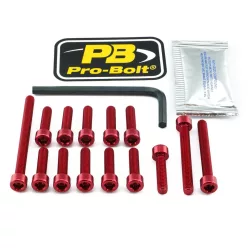 Kit șuruburi carenaj Pro Bolt EKA371R